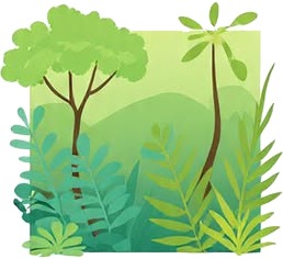 a green forest with trees and bushes.jpg